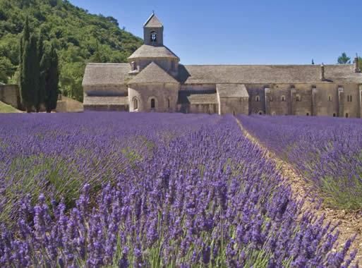 Abbaye de Sénanque
